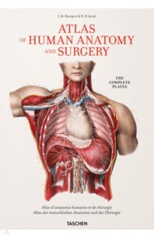 Bourgery J. M., Jacob N. H. - Atlas of Human Anatomy and Surgery