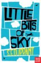 Durrant S. E. Little Bits of Sky