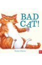 O`Byrne Nicola Bad Cat! mclaughlin eoin this book is not a bedtime story
