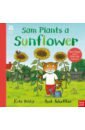 Petty Kate Sam Plants a Sunflower fowler alys grow forage and make fun things to do with plants