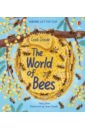 Bone Emily Look Inside the World of Bees bees a lift the flap eco book