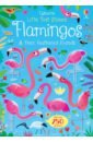 Flamingos and their feathered friends