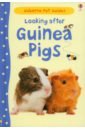 Howell Laura Looking after Guinea Pigs care for your guinea pigs