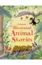 цена Illustrated Animal Stories