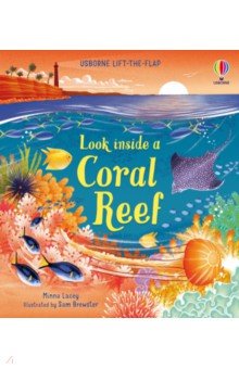 Lacey Minna - Look inside a Coral Reef