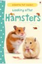 Meredith Susan Looking after Hamsters hot 1pcs 28cm 38cm lovely hamster stuffed animal dolls plush toys simulation hamster large toys for children girls holiday gift