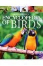 Martin Claudia Children's Encyclopedia of Birds lindo david the extraordinary world of birds
