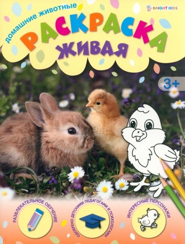 Раскраска живая Домашние животные