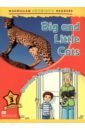 Degnan-Veness Coleen Big and Little Cats. Grandad’s Weekend with Leo. Level 3