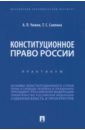 Конституционное право России. Практикум - Чижик Алексей Петрович, Саяпина Татьяна Сергеевна