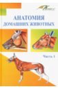 Анатомия домашних животных. Учебник. Часть 1