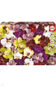 Пазл-1000 Коллаж из орхидей Educa