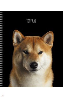 Тетрадь Selfie dog, А5, 48 листов, клетка