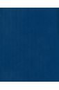 Обложка Тетрадь Синяя, А5, 48 листов, линия