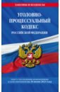 Уголовно-процессуальный кодекс Российской Федерации по состоянию на 10 июня 2023 года