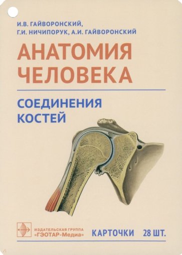 Анатомия человека. Соединения костей. Карточки. Наглядное учебное пособие