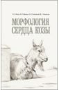 Морфология сердца козы. Монография - Хватов Виктор Александрович, Зеленевский Николай Вячеславович, Щипакин Михаил Валентинович