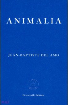 

Animalia