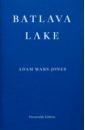 Mars-Jones Adam Batlava Lake foote s the civil war a narrative volume 3 red river to appomattox