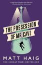 Haig Matt The Possession of Mr Cave pearce bryony little rumours