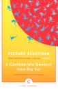 Brautigan Richard A Confederate General From Big Sur crutchley lee how to be happy or at least less sad a creative workbook