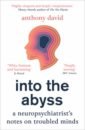 David Anthony Into the Abyss. A neuropsychiatrist's notes on troubled minds