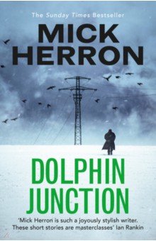 

Dolphin Junction