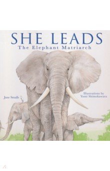 

She Leads. The Elephant Matriarch