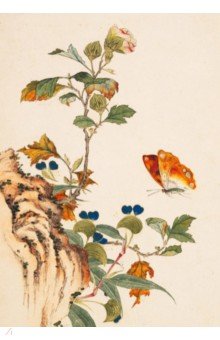 Птицы, насекомые и цветы. Бабочка, 32 листа Шанс