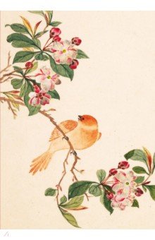 Птицы, насекомые и цветы. Яблоня, 32 листа Шанс