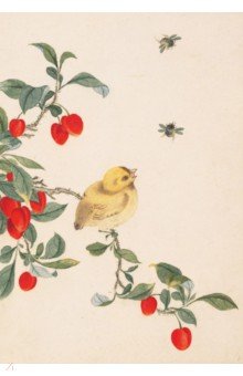 Птицы, насекомые и цветы. Воробей, 32 листа Шанс