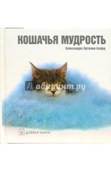 Кошачья мудрость