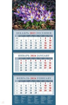 Календарь на 2024 год Весенние крокусы