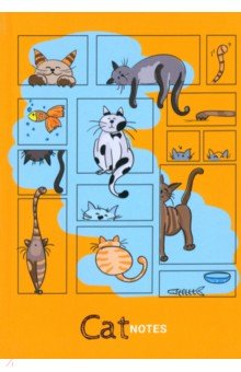 Книжка записная Жизнь кота, А5, 64 листа Академия Холдинг