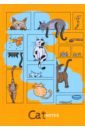 Обложка Книжка записная Жизнь кота, А5, 64 листа
