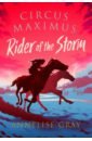Gray Annelise Rider of the Storm dedicated for reissuing orders to track logistics trajectory