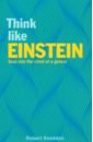 Snedden Robert Think Like Einstein. Step into the Mind of a Genius snedden robert great breakthroughs in physics