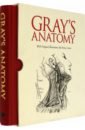 Gray Henry Gray's Anatomy. With Original Illustrations mini human knee joint model with ligaments and base femur tibia fibula bone anatomy medical teaching gift