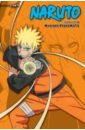 Kishimoto Masashi Naruto. 3-in-1 Edition. Volume 18
