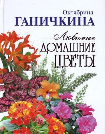 Любимые домашние цветы