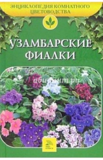 Узамбарские фиалки