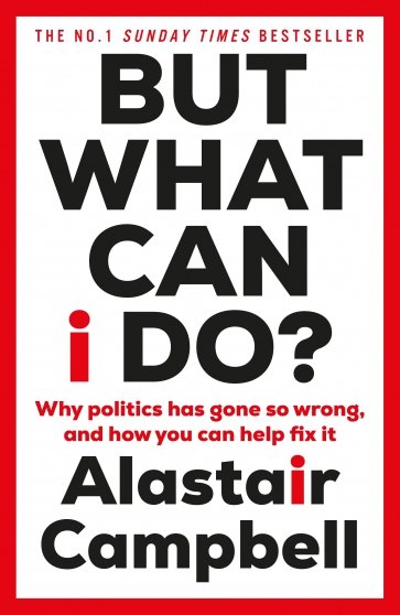 But What Can I Do? Why Politics Has Gone So Wrong, and How You Can Help Fix It