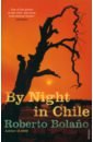 Bolano Roberto By Night in Chile zambra alejandro chilean poet