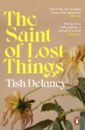 Delaney Tish The Saint of Lost Things macfarlane robert morris jackie the lost spells