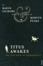 Обложка Titus Awakes. The Lost Book of Gormenghast