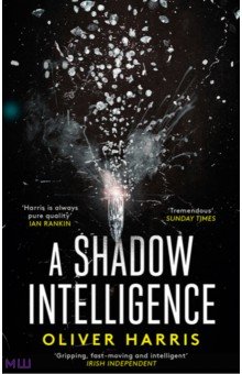 

A Shadow Intelligence