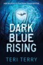 Terry Teri Dark Blue Rising