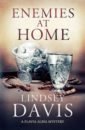 Davis Lindsey Enemies at Home davis lindsey master and god