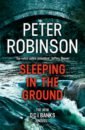 Robinson Peter Sleeping in the Ground цена и фото