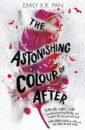 hodgkinson leigh goldilocks and just the one bear Pan Emily X.R. The Astonishing Colour of After